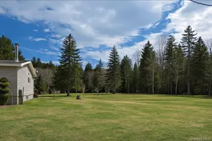 698 Cooley Rd, Parksville, NY 12768 - Photo 6