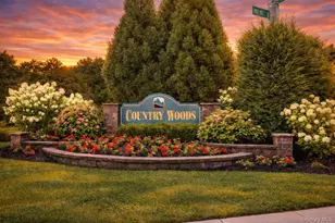 53 Timber Ridge Dr, Commack, NY 11725 - Photo 50