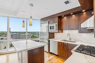 1 Renaissance Square, White Plains, NY 10601 - Photo 4