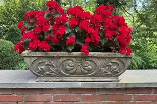 16 Mary Ln, Roslyn, NY 11548 - Photo 8