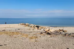 20 Gabriel Mills Rd, Wading River, NY 11792 - Photo 16