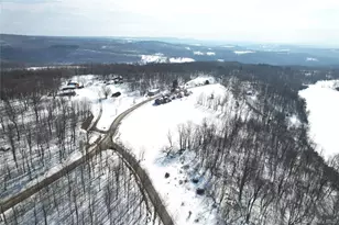 299-301 Stump Pond Rd, Livingston Manor, NY 12758 - Photo 2