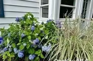 16A Bishop Ave, Westhampton, NY 11977 - Photo 20