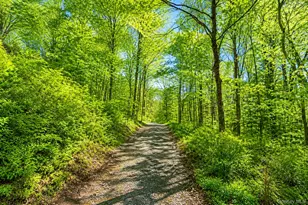 233 Long Ridge Rd, Bedford, NY 10506 - Photo 46