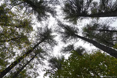 19 Stoutenburgh Drive, Hyde Park, NY 12538 - Photo 1