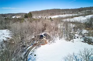 305 Old Danzer Rd, Livingston Manor, NY 12758 - Photo 30