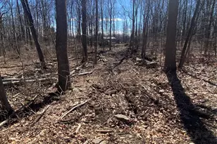 339 Kirbytown Rd, Middletown, NY 10940 - Photo 38