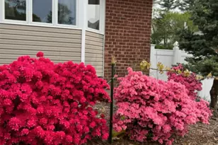 35 Hicks Ave, Syosset, NY 11791 - Photo 14