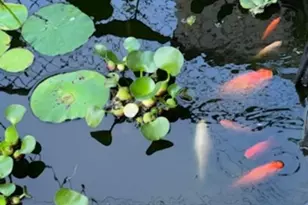 35 Hicks Ave, Syosset, NY 11791 - Photo 12