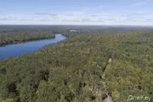 110 Plank Rd, Mongaup Valley, NY 12762 - Photo 30