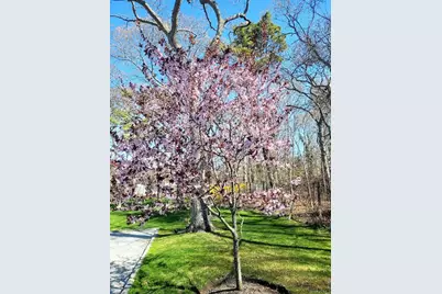 23 N Westbury Road, Hampton Bays, NY 11946 - Photo 18