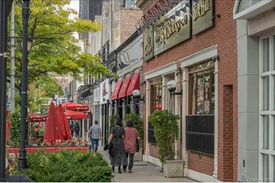 30 Greenridge Avenue #4M, White Plains, NY 10605 - Photo 34