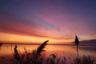 40 Tuthill Point Rd, East Moriches, NY 11940 - Photo 28