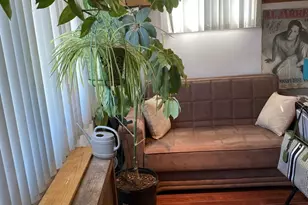 145-24 223rd St, Springfield Gardens, NY 11413 - Photo 2