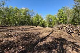 93 York Road S, Bloomingburg, NY 12721 - Photo 4