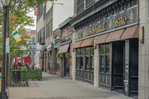 10 Cottage Pl, White Plains, NY 10601 - Photo 26