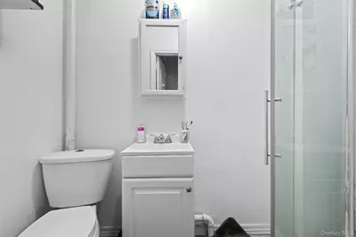 244 45th Street, Brooklyn, NY 11220 - Photo 22