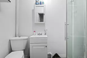 244 45th St, Brooklyn, NY 11220 - Photo 22