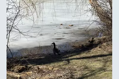 40 Scarborough Lane #C, Wappingers Falls, NY 12590 - Photo 2