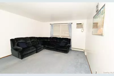 305 S 10th Street, New Hyde Park, NY 11040 - Photo 26