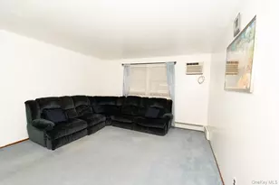 305 S 10th St, New Hyde Park, NY 11040 - Photo 26