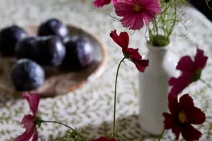 11 Sutton Rd, Millbrook, NY 12545 - Photo 6