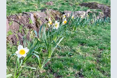 13 Irvington Street, Dobbs Ferry, NY 10522 - Photo 28