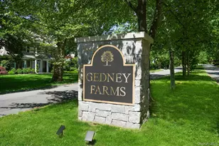 3 Dupont Ave, White Plains, NY 10605 - Photo 48