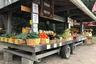 254 Meeting House Creek Rd, Aquebogue, NY 11901 - Photo 24