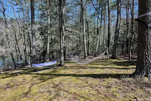 39 Pitio Rd, Glen Spey, NY 12737 - Photo 38