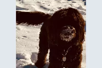 90 Bryant Avenue #Abby-1B, White Plains, NY 10605 - Photo 32