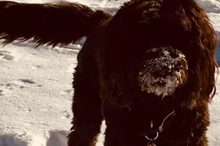 90 Bryant Ave, White Plains, NY 10605 - Photo 32