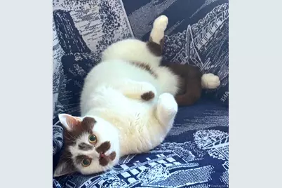 90 Bryant Avenue #Abby-1B, White Plains, NY 10605 - Photo 34