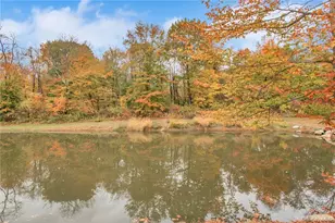 237 Tomahawk St, Baldwin Place, NY 10505 - Photo 22