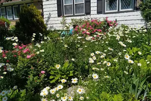 1155 Webster Ave, New Rochelle, NY 10804 - Photo 4