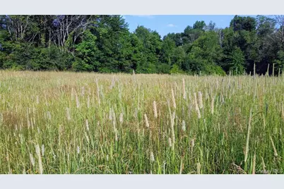 Tbd Old Chester & Duck Farm Road, Goshen, NY 10924 - Photo 28