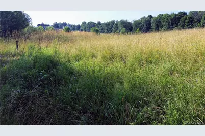 Tbd Old Chester & Duck Farm Road, Goshen, NY 10924 - Photo 34