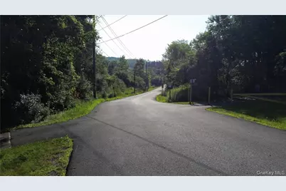 Tbd Old Chester & Duck Farm Road, Goshen, NY 10924 - Photo 14