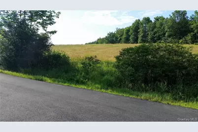 Tbd Old Chester & Duck Farm Road, Goshen, NY 10924 - Photo 30