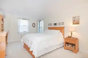 4 Birchwood Ct, Mineola, NY 11501 - Photo 10