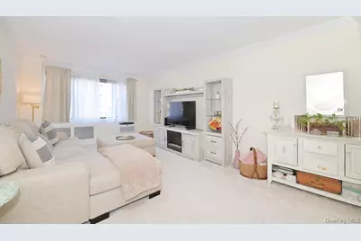 4 Birchwood Court #1O, Mineola, NY 11501 - Photo 4