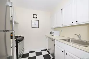 4 Birchwood Ct, Mineola, NY 11501 - Photo 8