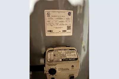 2539 Church Avenue, Brooklyn, NY 11226 - Photo 16