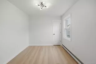 424 Thieriot Ave, Bronx, NY 10473 - Photo 18