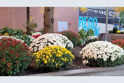 61-35 98th Street #15A, Rego Park, NY 11374 - Photo 12