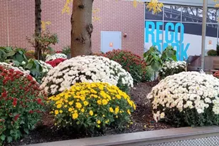 61-35 98th St, Rego Park, NY 11374 - Photo 12