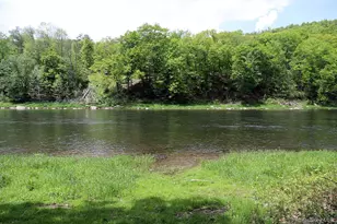 860 River Rd, Callicoon, NY 12723 - Photo 40