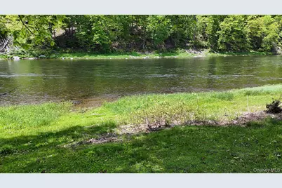 860 River Road, Callicoon, NY 12723 - Photo 16