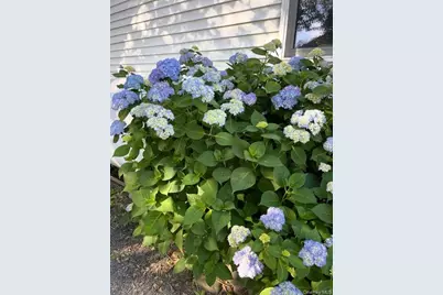 778 Pulaski Highway, Goshen, NY 10924 - Photo 18