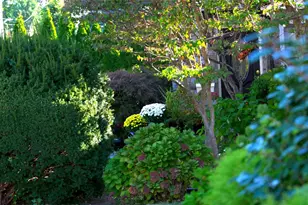 15 Walters Ave, Syosset, NY 11791 - Photo 20